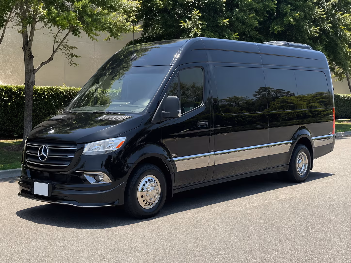el paso wedding transportation onboard seating